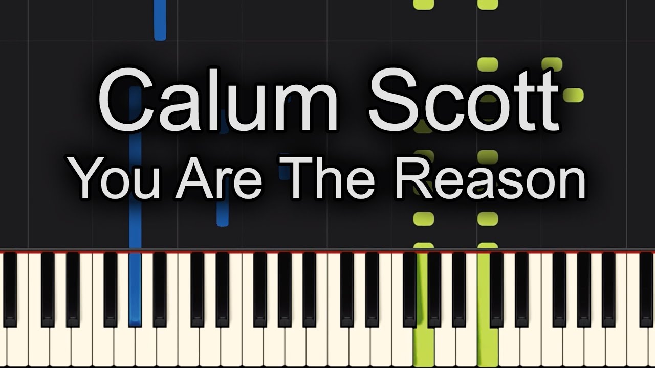You Are The Reason Calum Scott Piano Tutorial Synthesia