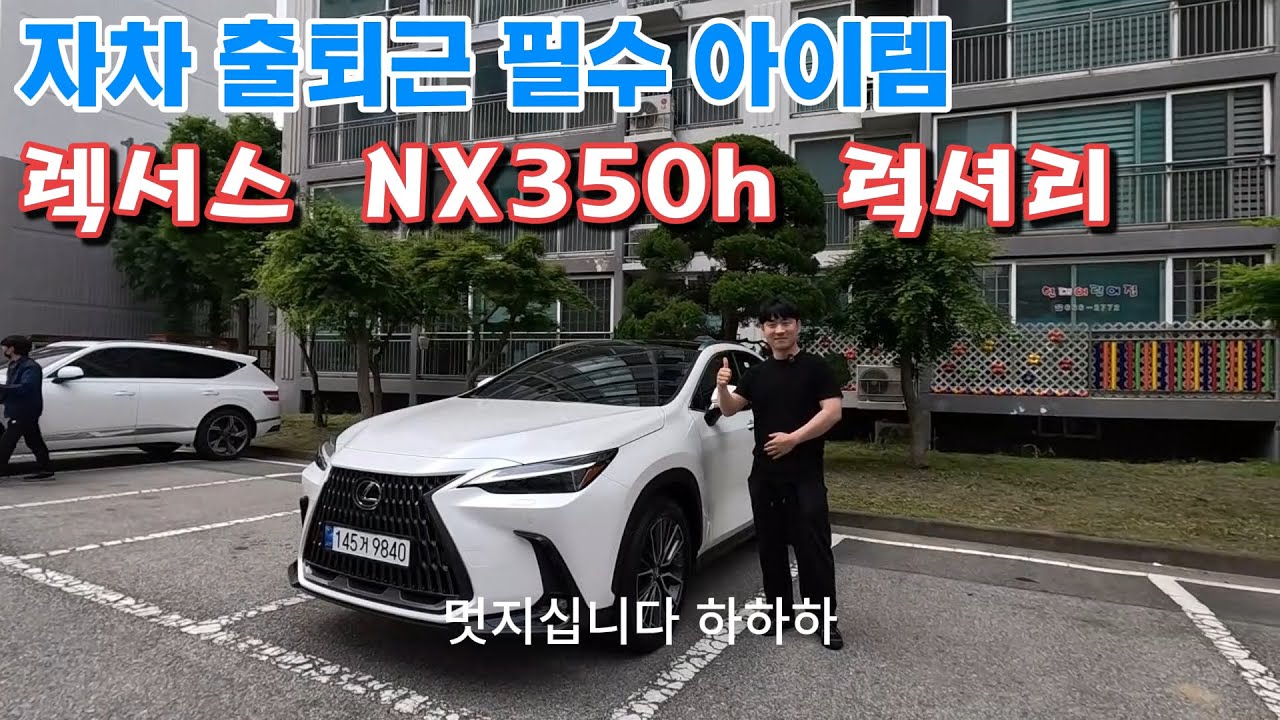 자차 출퇴근 필수 아이템 - NX350h LUXURY 출고기