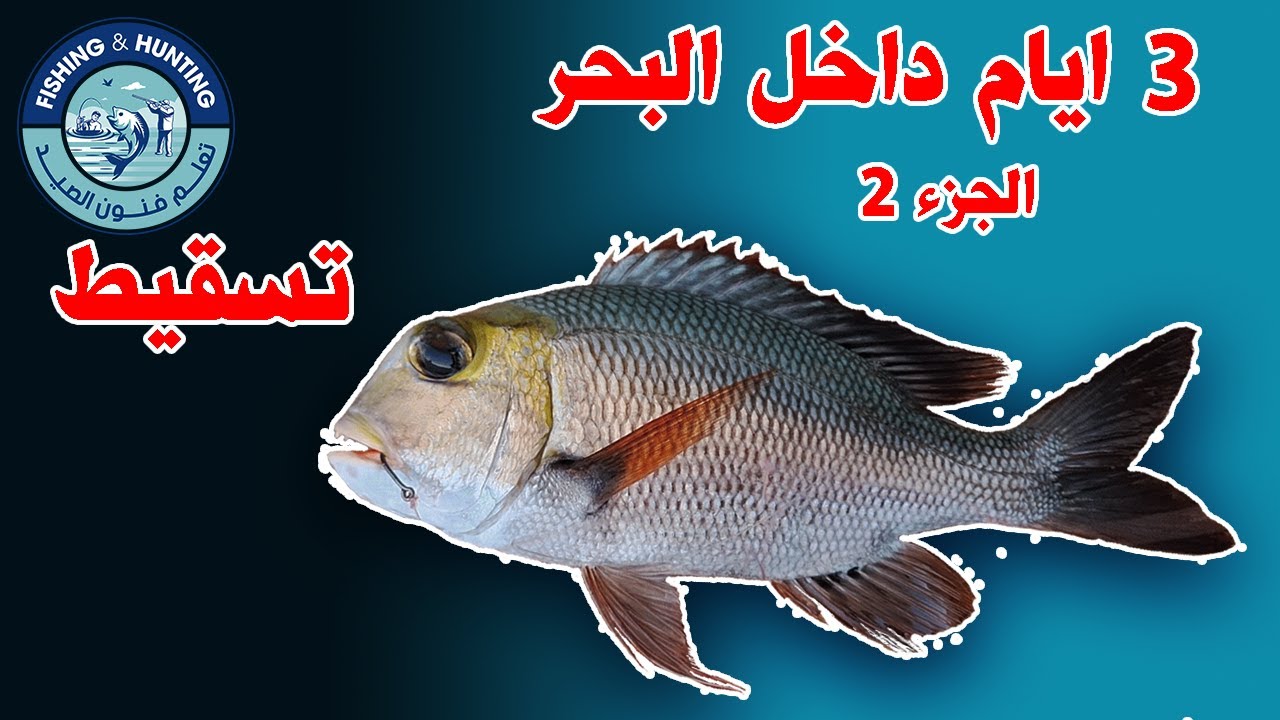 3 أيام داخل البحر في شلاتين ( الصيد تسقيط ) الجزء الثاني
