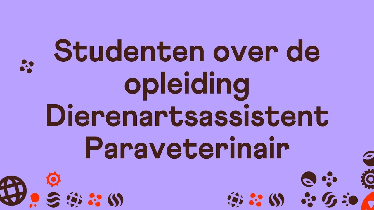 Studenten van Yuverta mbo Den Bosch vertellen over de opleiding Dierenartsassistent Paraveterinair