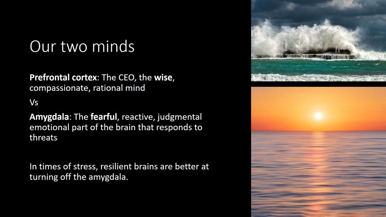 Qualities and Traits of Resilient People