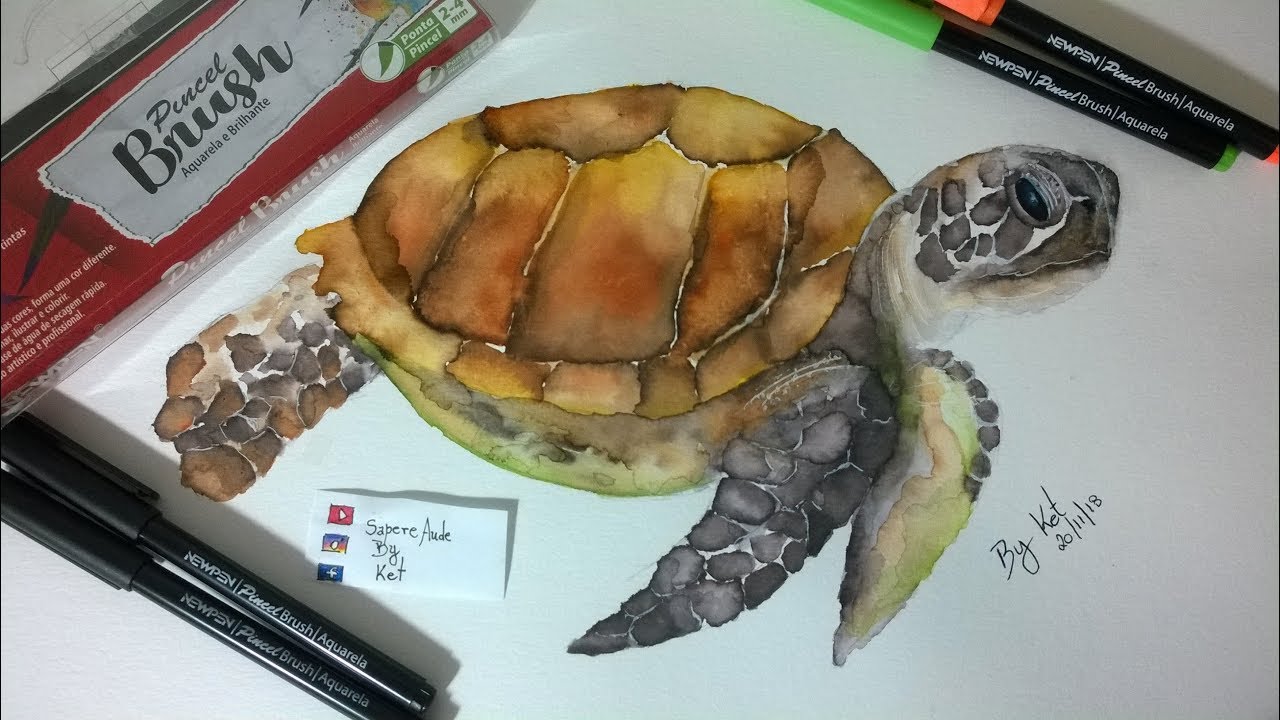Desenhando Tartaruga com Brush Pen da Newpen