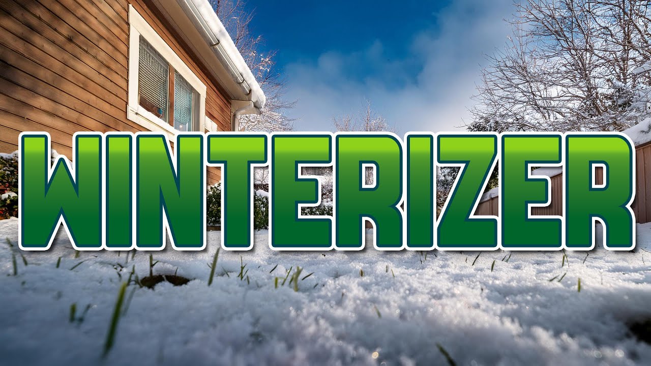 Do this NOW to Have the Best Spring Lawn!