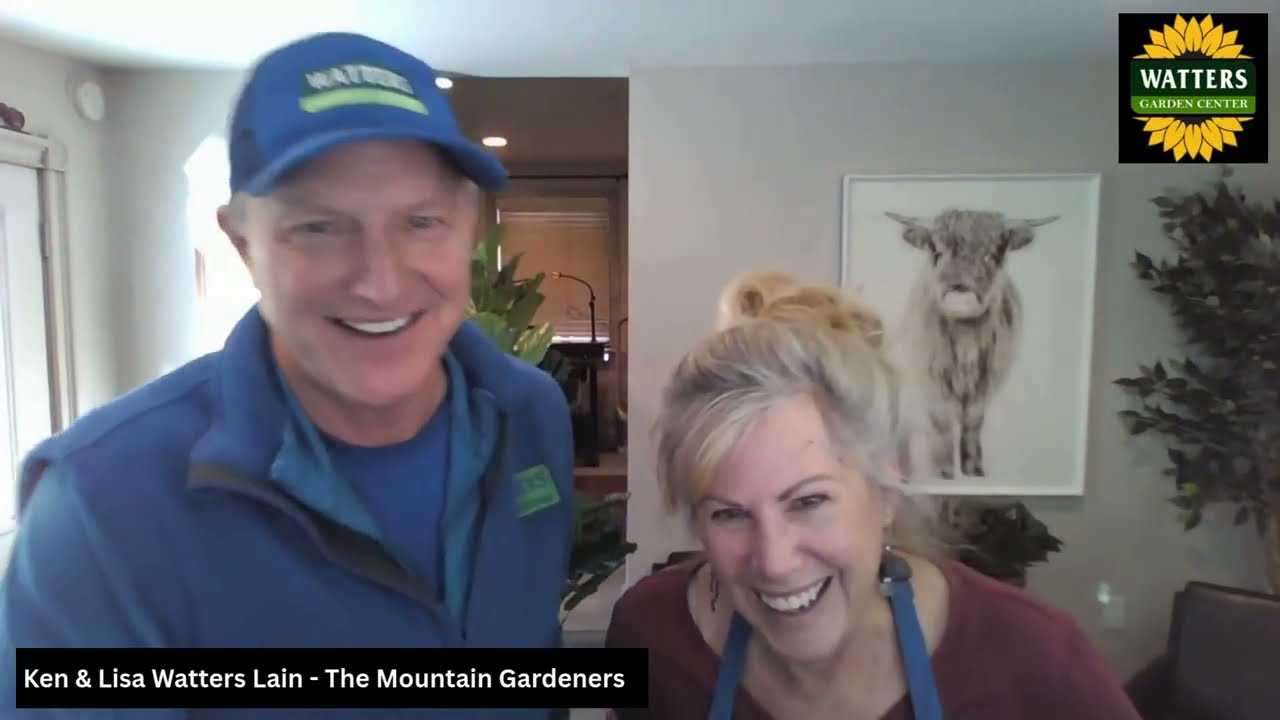 Fruit Tree Pollination Tips for a Bountiful Harvest