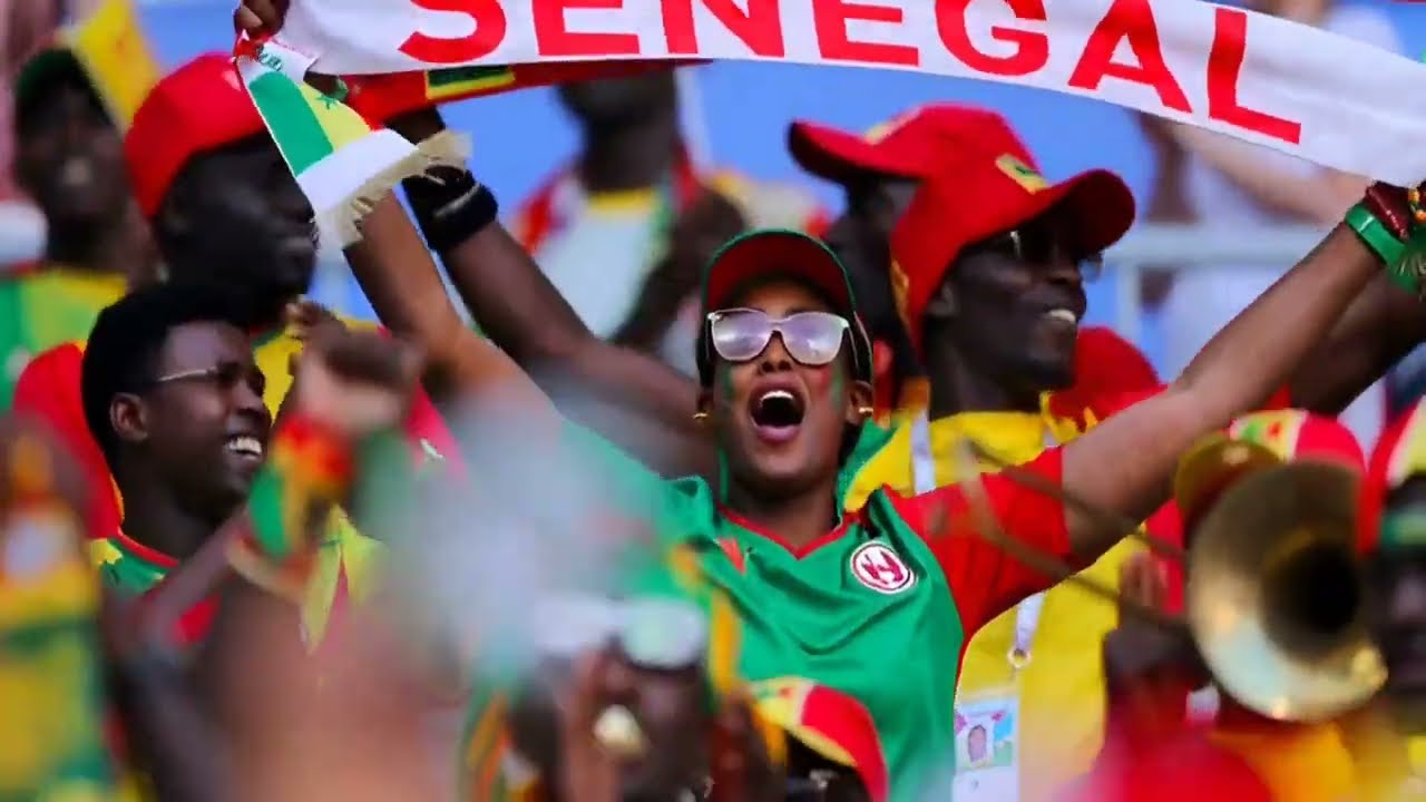 ALLER LES LIONS DE LA TERANGA