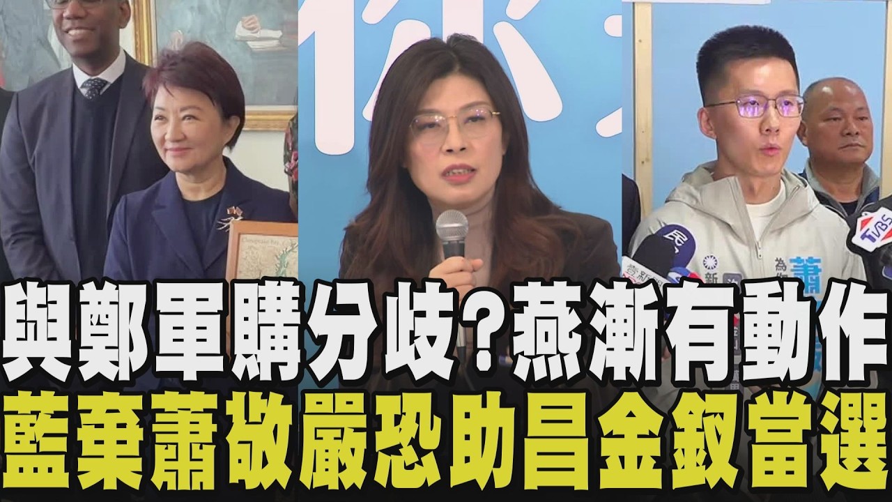 盧秀燕與鄭麗文路線不同調? 延續朱立倫「親美友日」作風? 子弟兵曝軍購主張燕偏好