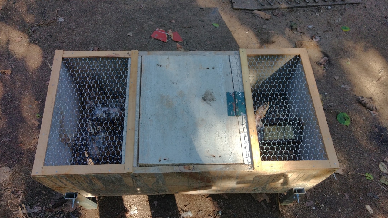 Viveiro para Criação de Codornas