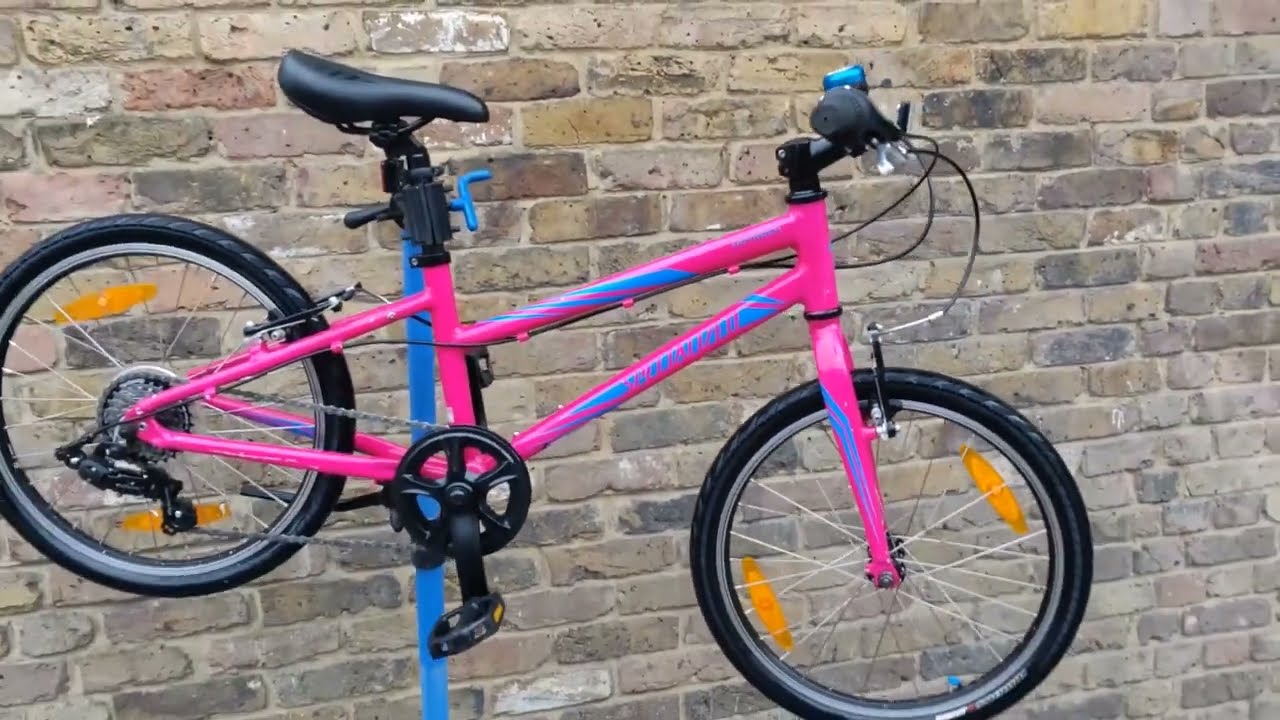 20