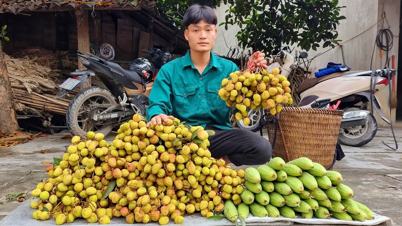 FULL VIDEO : Harvest melon, Corn, Cucumber, Forest fruit, Go to market