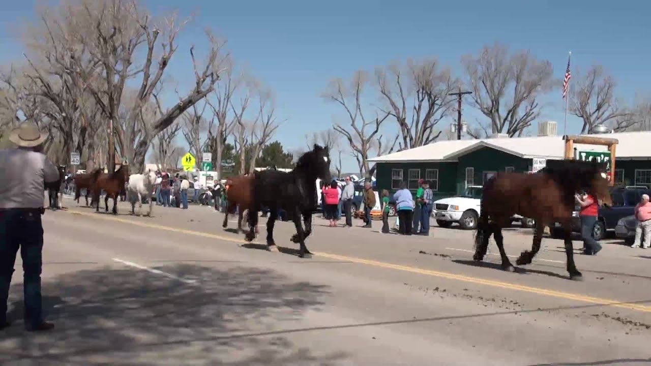 2010 Sombrero Ranch Maybell
