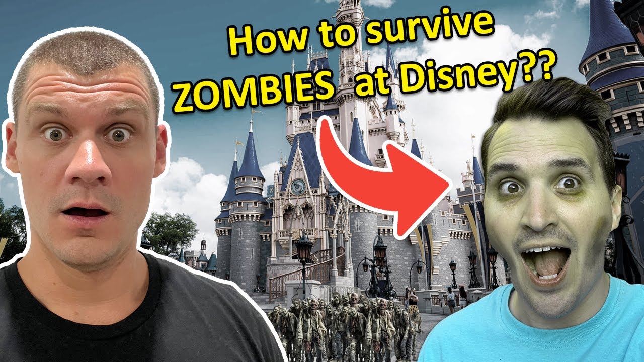 We Gave The Best Advice We Could...