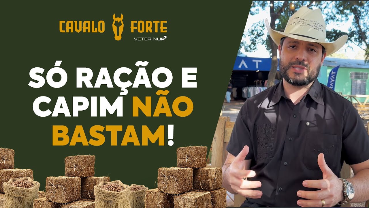 S&oacute; ra&ccedil;&atilde;o e capim n&atilde;o bastam: nutri&ccedil;&atilde;o e suplementa&ccedil;&atilde;o para cavalo atleta | Cavalo Forte