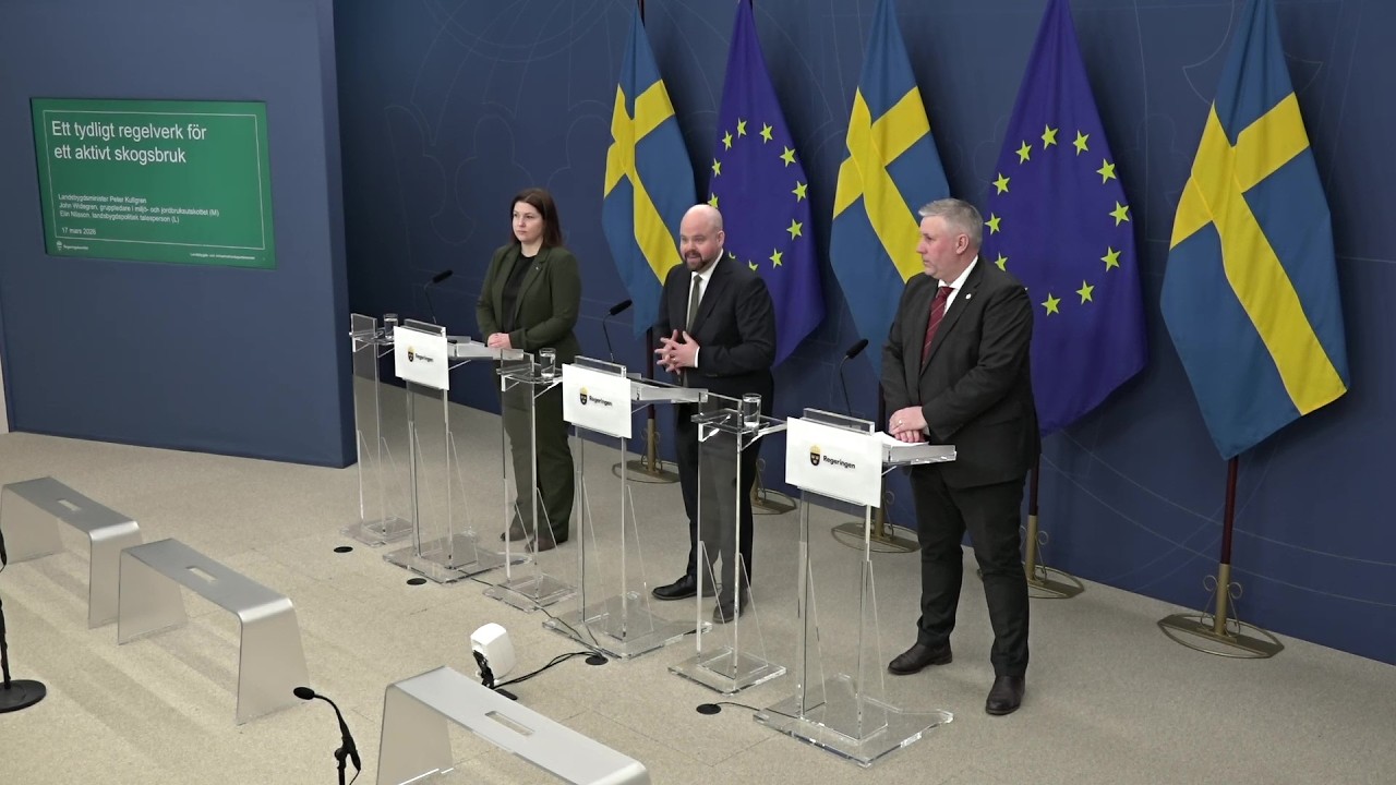 Regeringen presenterar nyheter på skogsområdet