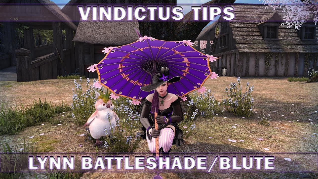 [Vindictus Tips] Battleshade/Blute - Dodging/Blocking, Full Tilt Canonpy/Spiked Ferrule, Qi