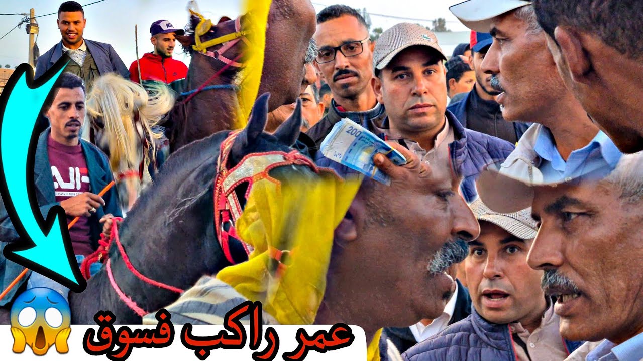 سوق سطات شابكة بين بدريس وناس الغرب على جدع دهم ملكي هبل السوق كامل 💯💯