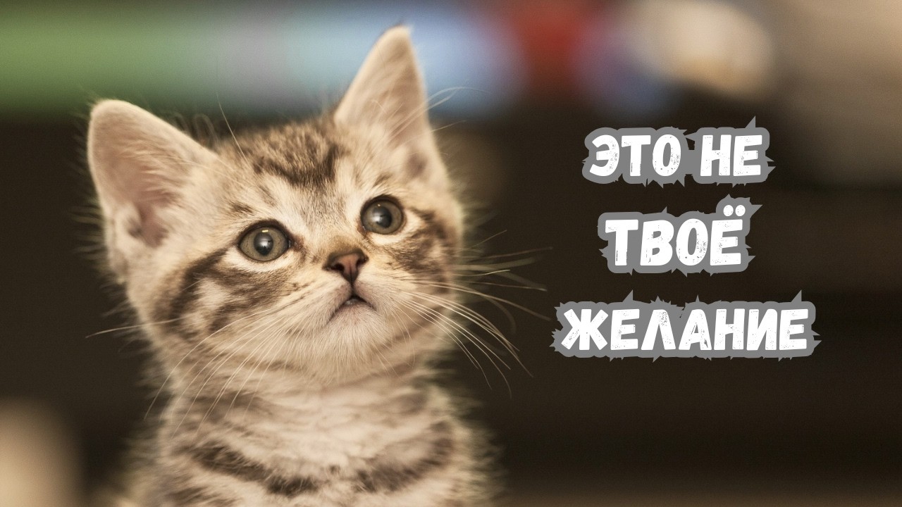 Это желание не твое!!!