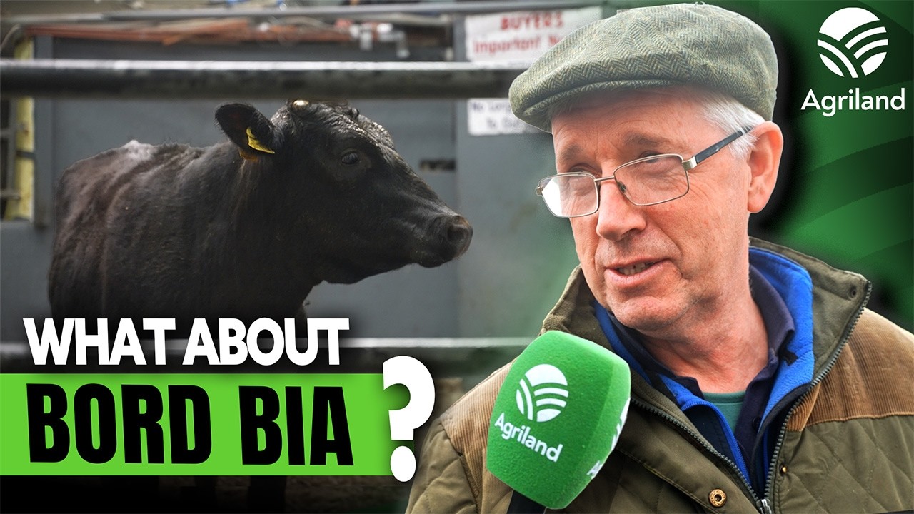 What do farmers really think about the Bord Bia chair situation?