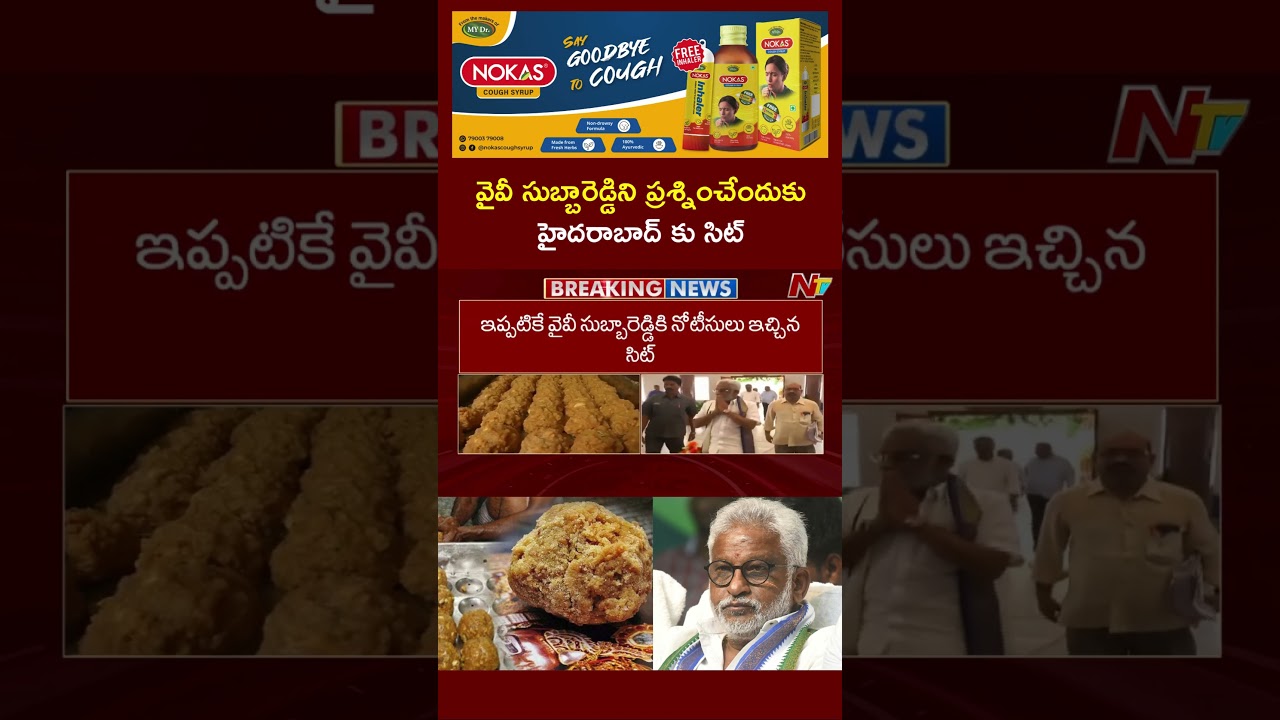 SIT To Question YV Subba Reddy On Tirupati Laddu Controversy | NTV Telugu