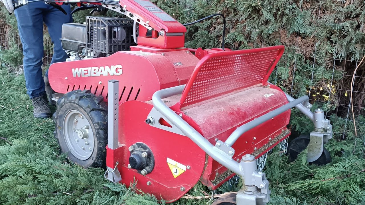 Trincia erba professionale WEIBANG