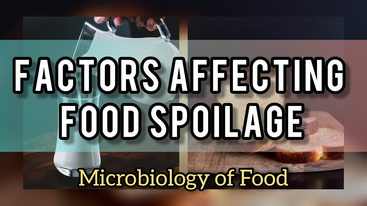 FACTORS AFFECTING FOOD SPOILAGE | FOOD MICROBIOLOGY | BIOLOGY UNIVERSITY
