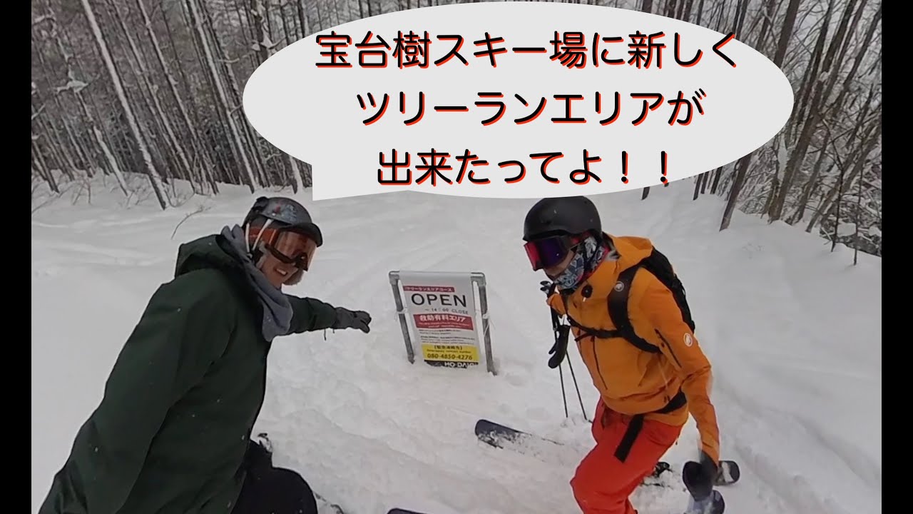 宝台樹スキー場の新ツリーランエリアを紹介