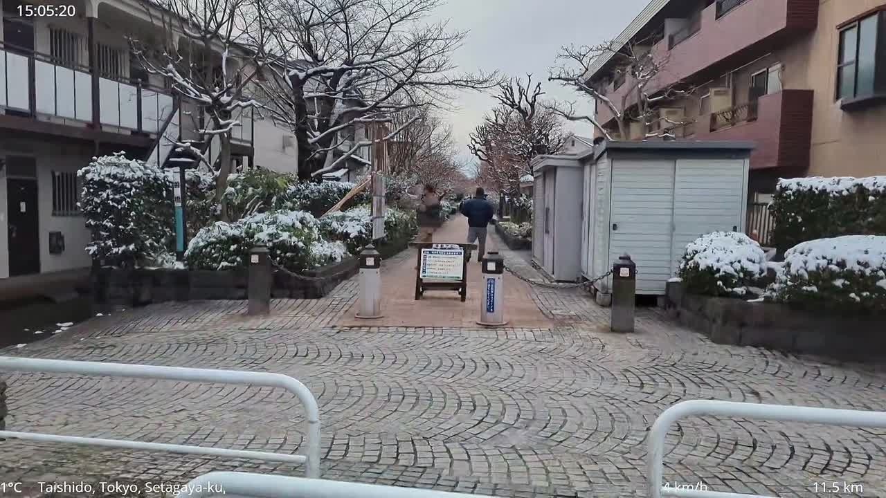 08.02 🗼 Япония 🇯🇵 - СНЕГОПАД В ТОКИО