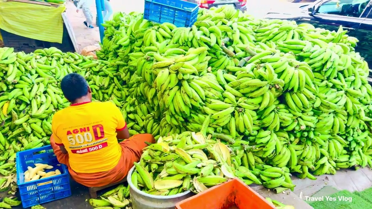 തമിഴ്നാട് ബോർഡറിലെ ചിപ്സ് പഴകച്ചവടം | Selling Banana Chips And Fruits At Street In Tamil Nadu 