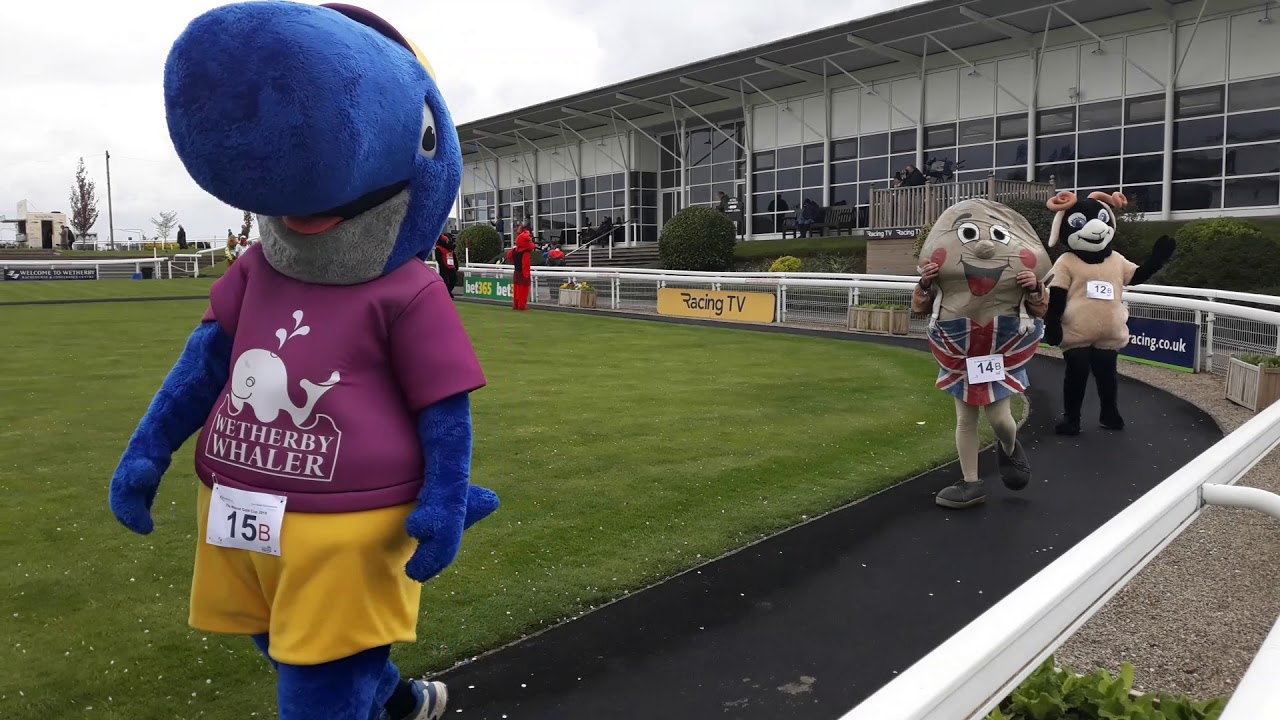 Parade for the Mascot Race at Wetherby 28th April 2019