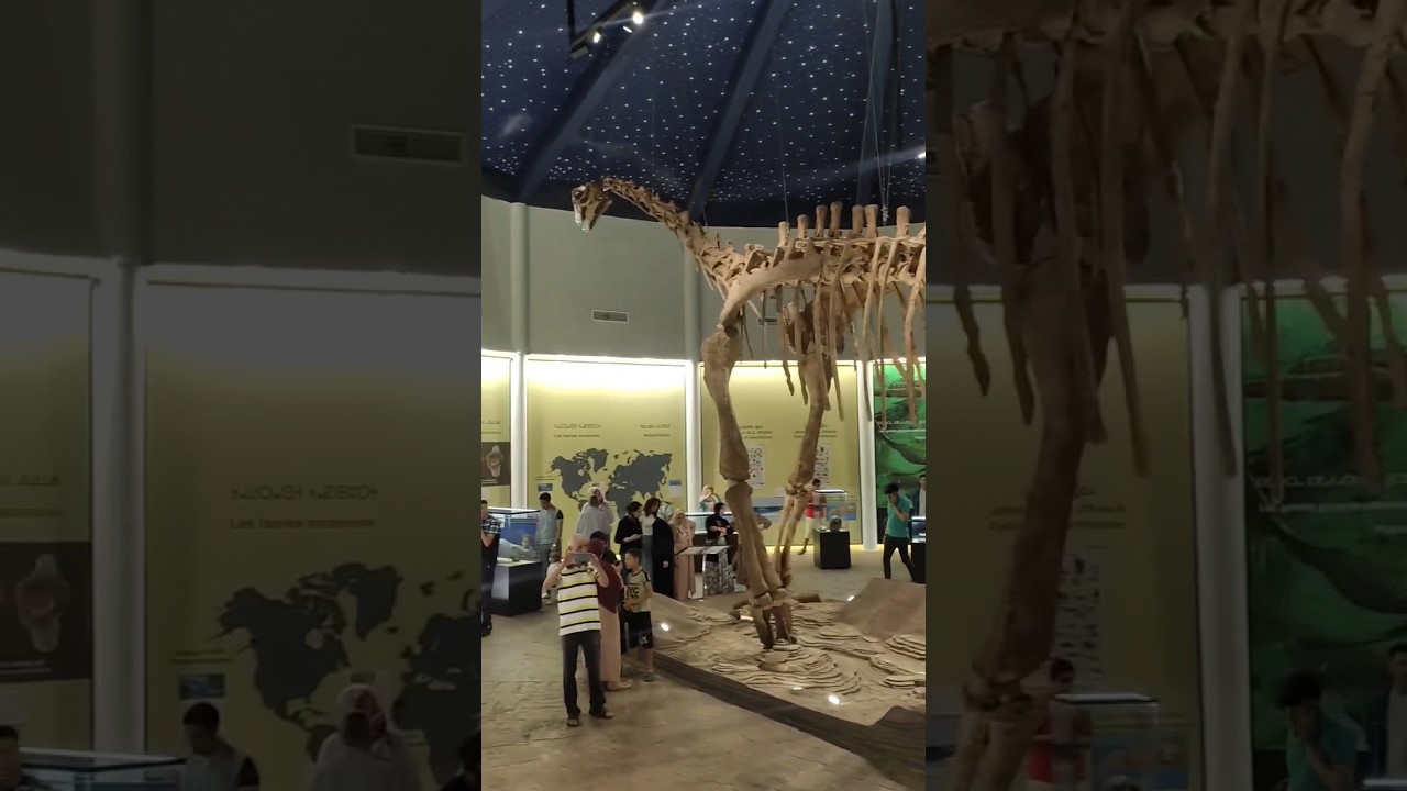 متحف ازيلال #جيوبارك #المغرب #أزيلال #دينصورات #ارفود#متحف #السعودية #museum  #dinosaur #الجزائر
