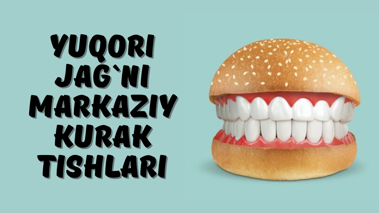 YUQORI JAG`NI MARKAZIY KESUVCHI TISHLARI