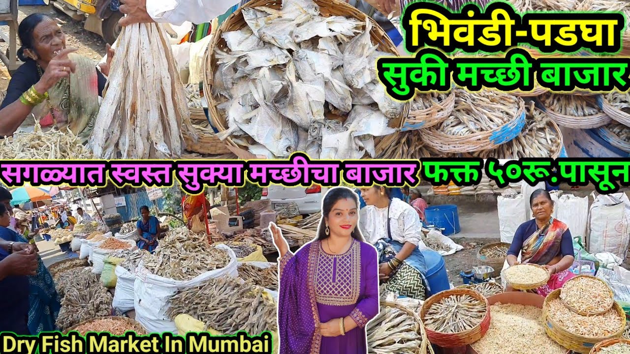 सगळ्यात मोठा सुकी मच्छी बाजार | एवढे स्वस्त रेट पाहून थक्क व्हाल😱 | Dry Fish Wholesale Market Mumbai