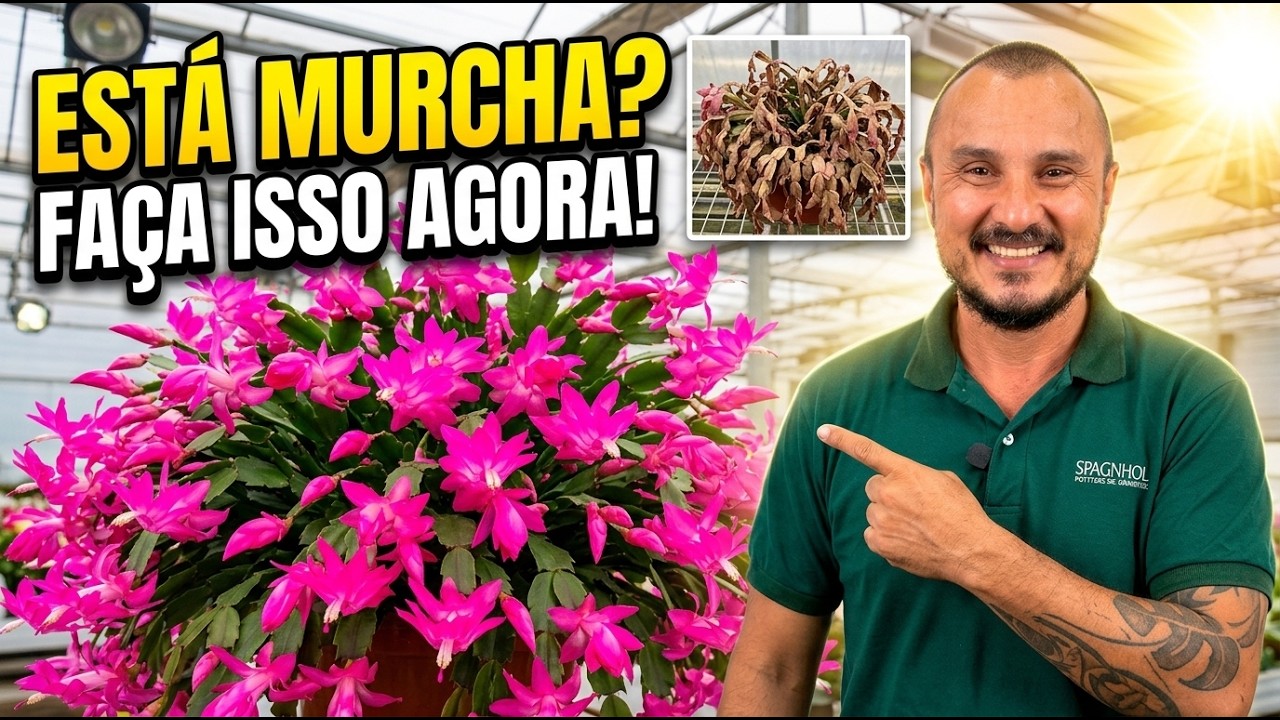 O Que Ninguém Te Contou Sobre a FLOR DE MAIO – Guia Completo!