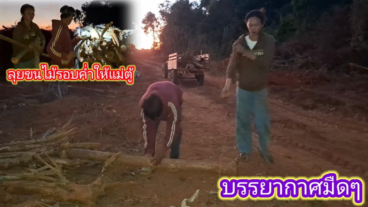 ลุยมาขนไม้ให้แม่ตู้คำรอบค่ำ ไม่ค่อยได้พักเลยวันนี้ 2 กุมภาพันธ์ ค.ศ. 2026