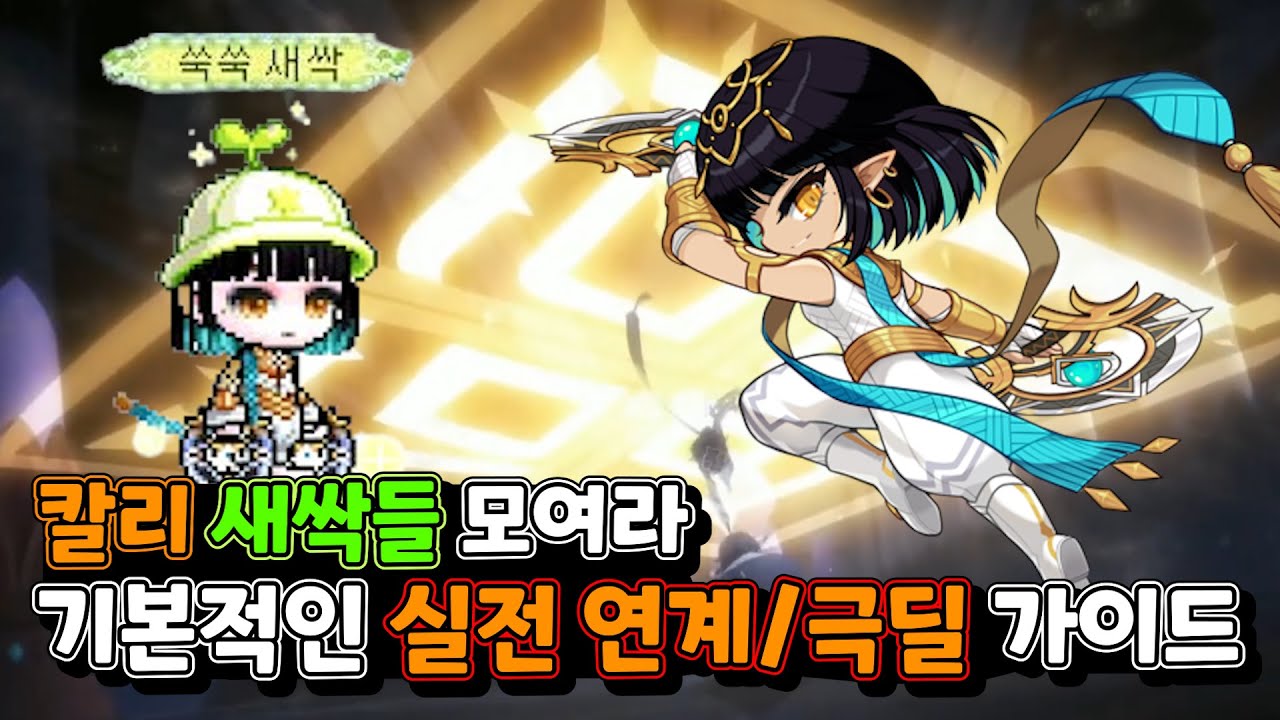 칼리 감 못잡으신 분들을 위해 기본 연계, 극딜, 팁 알려드립니다