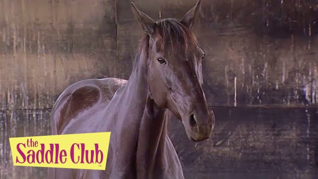 The Saddle Club - Foster Horse Part III | Season 02 Episode 21 | HD | Full Episode