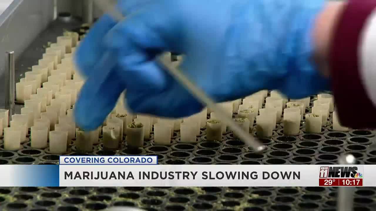 Colorado's Marijuana industry showing signs of slowing