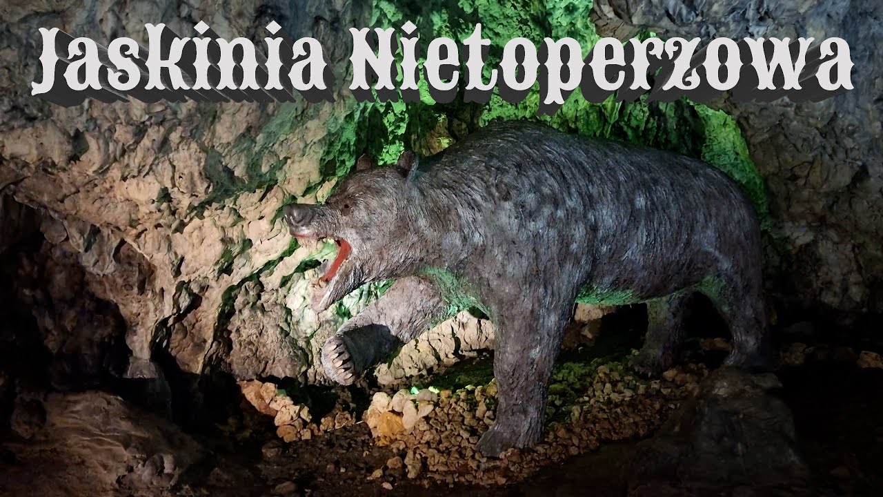 Jaskinia Nietoperzowa
