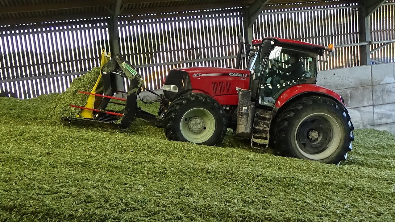 Maize Harvest 2021 - Buckraking the Clamp with Case IH Puma & MX135