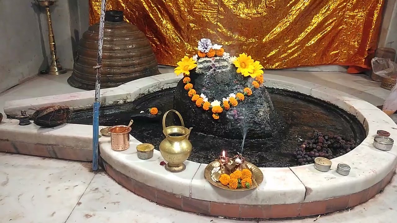 १६ जानेवारी, २०२६