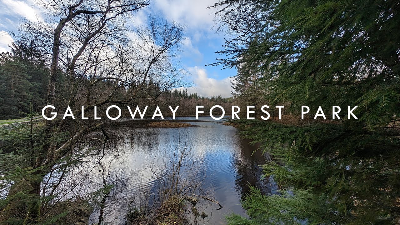 Visiting GALLOWAY FOREST PARK - The World Famous Dark Sky Park - Scotland Walking Tour | 4K | 60FPS