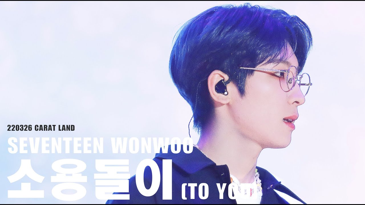 220326 세븐틴 원우 캐럿랜드 소용돌이 직캠 4K