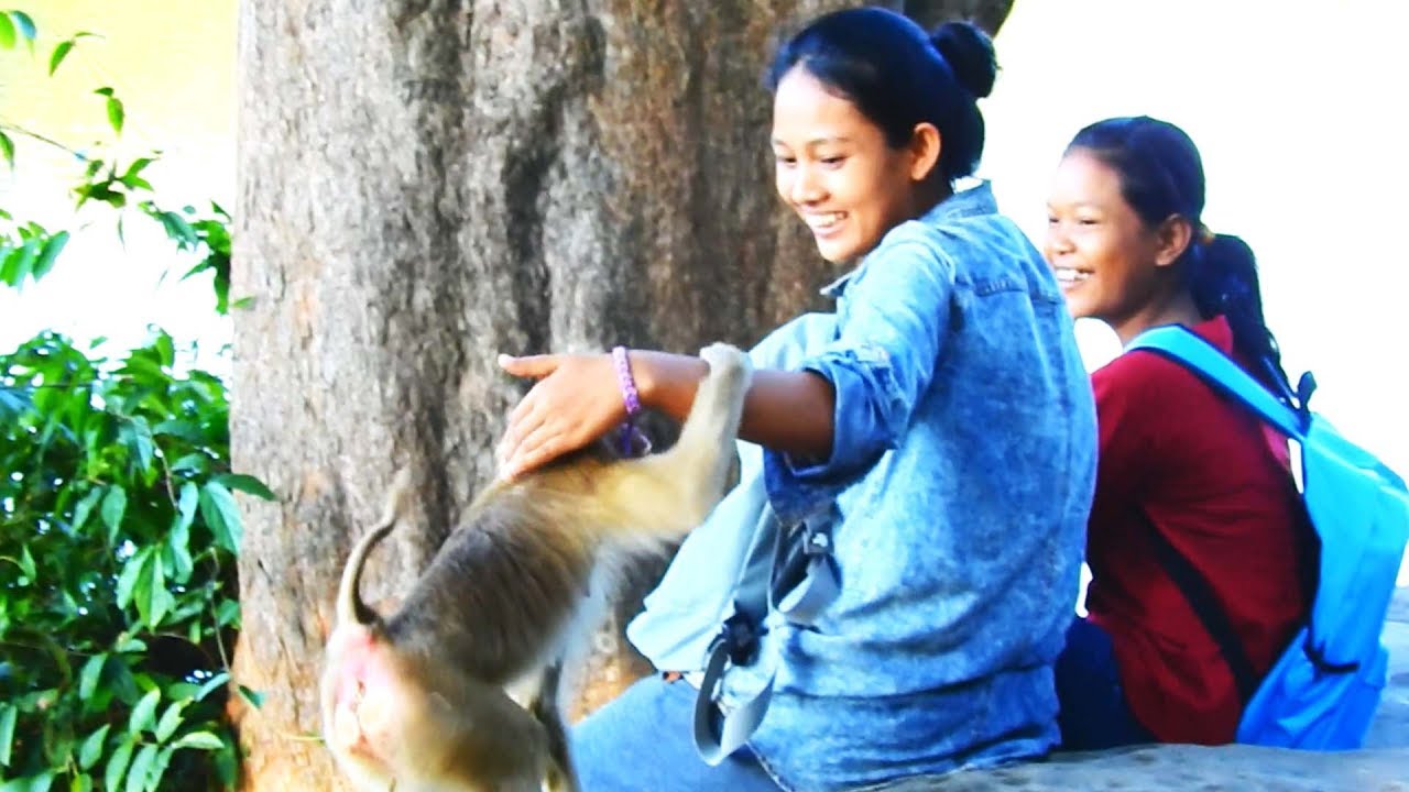 OMG!mad pigtail monkey bites beautiful girl-AB Monkey