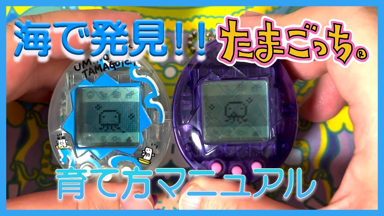 【たまごっち育成動画】海で発見‼︎たまごっち。これであなたも思い通りのこどもッシュに育てる事が出来る‼︎…はずw