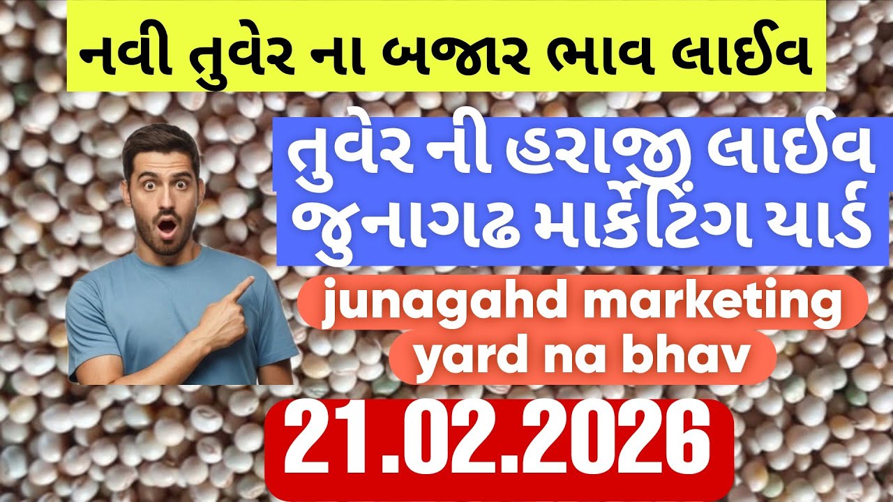 નવી તુવેર ના બજાર ભાવ / તુવર ના ભાવ આજના / નવી તુવેર ની હરાજી લાઈવ જુનાગઢ / junagadh marketing yard