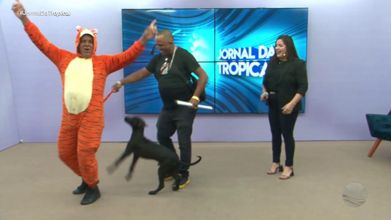 JORNAL DA TROPICAL 13-02-2026