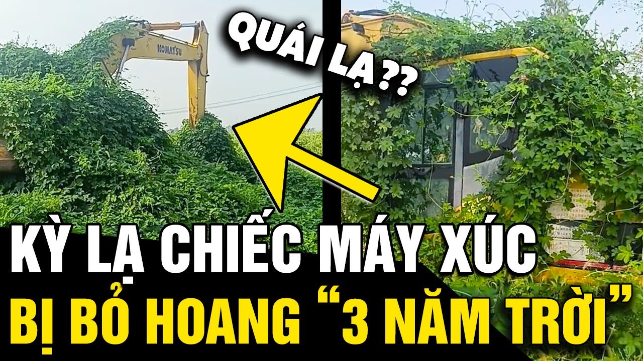 KỲ LẠ chiếc máy xúc 'BỊ BỎ HOANG' suốt 3 năm bên bờ kênh khiến dân tình NGHI VẤN | Tin Nhanh 3 Phút