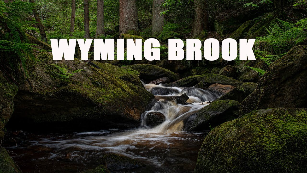 Wyming Brook