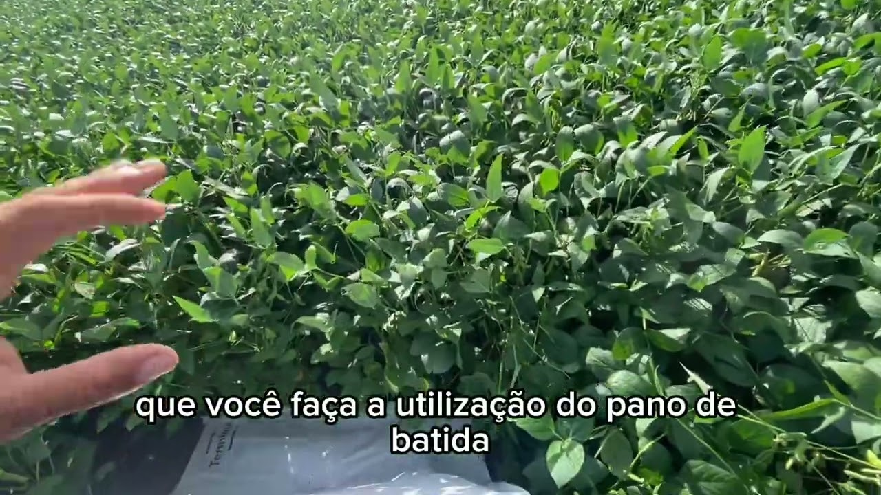 Como utilizar o pano de batida no monitoramento.