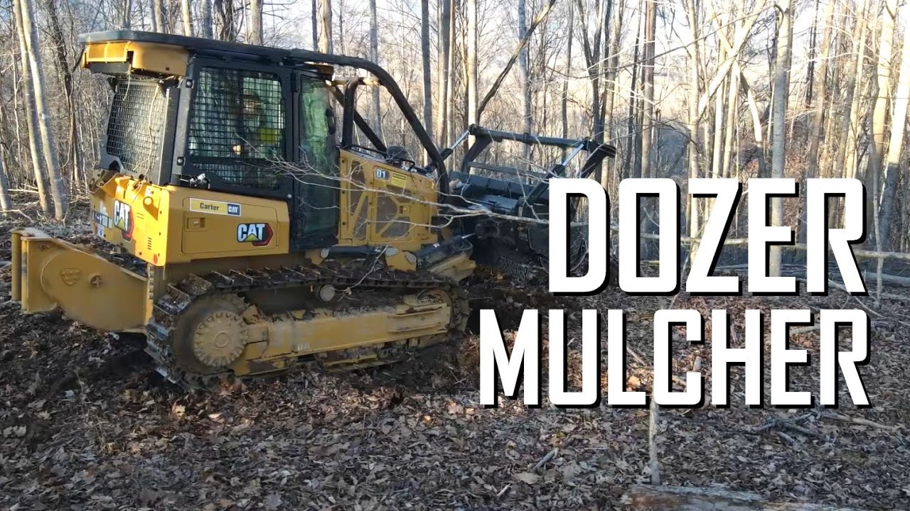 D1 Dozer forestry mulcher shows up and makes us a view // E136