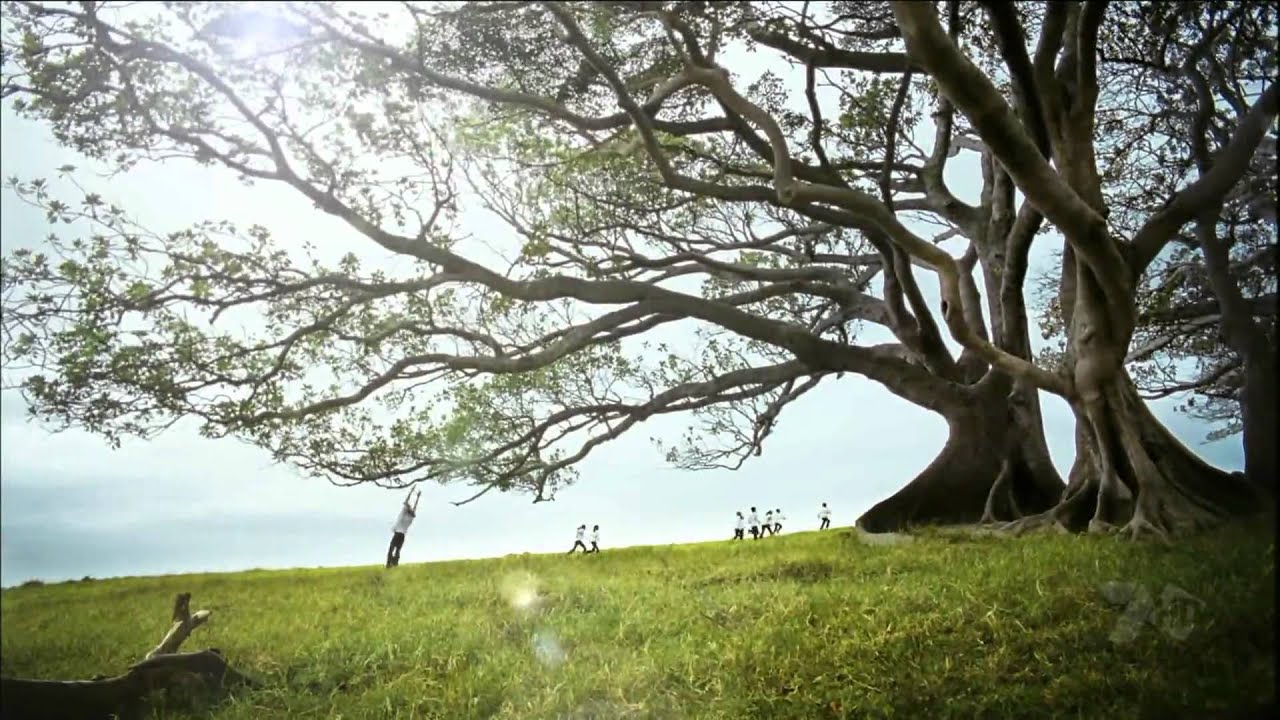 I Still Call Australia Home - Qantas TV Commercial (2009) - HD
